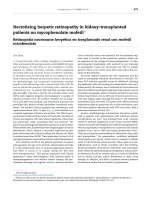 necrotizing herpetic retinopathy in kidney transplanted patients on mycophenolate mofetil 