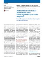 merkelzellkarzinom kutane manifestation einer hochmalignen pr pro b zell neoplasie 