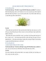 giai khoa hoc tu nhien 7 bai 40 sinh san huu tinh o sinh vat ket noi t 