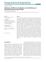 influence of different adsorbates on the efficiency of thermochemical energy storage 