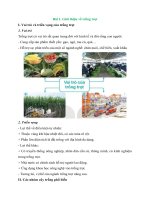 ly thuyet gioi thieu ve trong trot chi tiet cong nghe lop 7 ket noi tr 