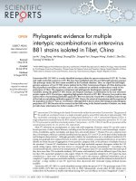 phylogenetic evidence for multiple intertypic recombinations in enterovirus b81 strains isolated in tibet china 