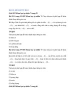 sbt khoa hoc tu nhien 7 bai 25 ho hap te bao ket noi tri thuc 