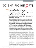 quantification of tumor fluorescence during intraoperative optical cancer imaging 