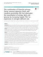 ombination of artemisia princeps pamp leonurus japonicas houtt and gardenia jasminoides ellis fruit attenuates the exacerbation of energy lipid and glucose by increasing hepatic pgc 1 expression in estrogen deficien 