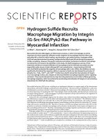 hydrogen sulfide recruits macrophage migration by integrin 1 src fak pyk2 rac pathway in myocardial infarction 