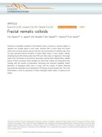 fractal nematic colloids 