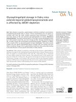 glycosphingolipid storage in fabry mice extends beyond globotriaosylceramide and is affected by abcb1 depletion 