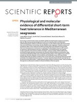 physiological and molecular evidence of differential short term heat tolerance in mediterranean seagrasses 