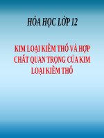 Bài giảng Kim loại kiềm thổ và hợp chất quan trọng của kim loại kiềm thổ Hóa Học 12