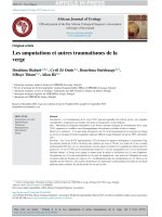 les amputations et autres traumatismes de la verge 
