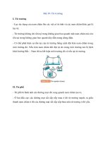 ly thuyet khoa hoc tu nhien 7 bai 19 tu truong ket noi tri thuc 