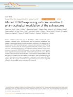 mutant u2af1 expressing cells are sensitive to pharmacological modulation of the spliceosome 