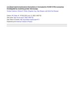 localized electromechanical interactions in ferroelectric p vdf trfe nanowires investigated by scanning probe microscopy 