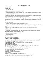 Giáo án ôn tập giữa kì 2 ngữ văn 6 sách kết nối tri thức với cuộc sống 