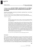 lantana camara and butterfly abundance in an urban landscape benefits for conservation or species invasion 