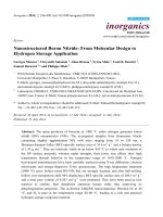 nanostructured boron nitride from molecular design to hydrogen storage application 