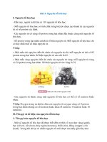 ly thuyet khoa hoc tu nhien 7 bai 3 nguyen to hoa hoc ket noi tri thuc 