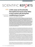 limbic areas are functionally decoupled and visual cortex takes a more central role during fear conditioning in humans 