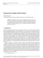 perspectives for higgs and new physics 