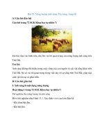 giai khoa hoc tu nhien 7 bai 15 nang luong anh sang tia sang vung toi 