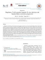 regulatory t cells promote hepatitis b virus infection and hepatocellular carcinoma progression 