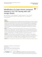 identification of a large intronic transposal insertion in slc17a5 causing sialic acid storage disease 