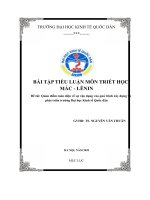 (TIỂU LUẬN) quan điểm toàn diện về sự vận dụng vào quá trình xây dựng và phát triển trường đại học kinh tế quốc dân 
