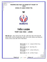 (TIỂU LUẬN) quy luật quan hệ sản xuất phù hợp với trình độ phát triển của lực lượng sản xuất và sự vận dụng của đảng ta trong công cuộc đổi mới ở việt nam 
