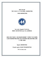 BÁO cáo THỰC HNH NGHỀ NGHIỆP 1 PHÂN TCH CHIẾN lược MARKETING MIX PHÂN TCH CHIẾN lược MARKETING MIX của THƯƠNG HIỆU của THƯƠNG HIỆU MAYBELLINE ti VIỆT NAM 