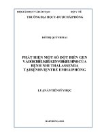 PHÁT HIỆN một số đột BIẾN GEN và đối CHIẾU KIỂU GEN với KIỂU HÌNH của BỆNH NHI THALASSEMIA tại BỆNH VIỆN TRẺ EM hải PHÒNG 