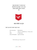 (TIỂU LUẬN) TIỂU LUẬN đề tài đất nước VIỆT NAM 