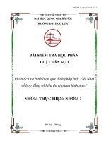 Phân tích và bình luận quy định pháp luật việt nam về hợp đồng vô hiệu do vi phạm hình thức