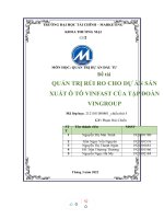 (TIỂU LUẬN) QUẢN TRỊ rủi RO CHO dự án sản XUẤT ô tô VINFAST của tập đoàn VINGROUP 