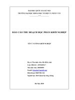 BÁO cáo THU HOẠCH học PHẦN KHỞI NGHIỆP ý tưởng chay nhiên   hệ thống nhà hàng đồ chay tự nhiên 