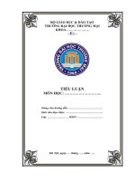 (TIỂU LUẬN) thảo luận nhóm TMU khái quát về tổng công ty hàng không việt nam (vietnam airlines) 