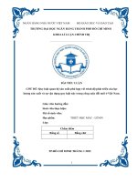 (TIỂU LUẬN) quy luật quan hệ sản xuất phù hợp với trình độ phát triển của lực lượng sản xuất và sự vận dụng quy luật này trong công cuộc đổi mới ở việt nam  