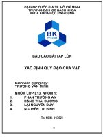 BÁO cáo bài tập lớn xác ĐỊNH QUỸ đạo của vật GIẢI QUYẾT bài TOÁN BẰNG MATLAB 