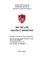 BÀI tập lớn lập kế HOẠCH MARKETING MIX CHO ví điện tử MOMO 