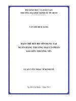 Luận văn thạc sĩ UEH hạn chế rủi ro tín dụng tại ngân hàng TMCP sài gòn thương tín 