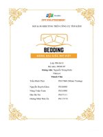 (TIỂU LUẬN) tên thương hiệu BEDDING nâng niu giấc mơ việt 