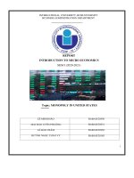 (TIỂU LUẬN) REPORT INTRODUCTION TO MICRO ECONOMICS SEM i (2020 2021) topic MONOPOLY IN UNITED STATES 