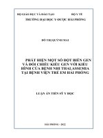 PHÁT HIỆN một số đột BIẾN GEN và đối CHIẾU KIỂU GEN với KIỂU HÌNH của BỆNH NHI THALASSEMIA tại BỆNH VIỆN TRẺ EM hải PHÒNG 