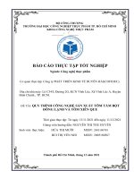 (TIỂU LUẬN) báo cáo THỰC tập tốt NGHIỆP QUY TRÌNH CÔNG NGHỆ sản XUẤT tôm tẩm bột ĐÔNG LẠNH và tôm XIÊN QUE 