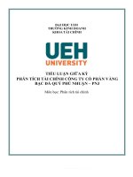 (TIỂU LUẬN) tiểu luận giữa kỳ phân tích tài chính công ty cổ phần vàng bạc đá quý phú nhuận – pnj 