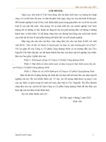 (TIỂU LUẬN) báo cáo thực tập tốt nghiệp tại công ty cổ phần cảng quảng ninh  