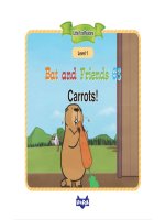 L1 063 carrots 