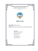 (TIỂU LUẬN) TIỂU LUẬN học phần tiếng việt cơ sở đề tài phân loại lỗi câu trong một số văn bản truyền thông 