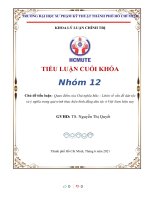 (TIỂU LUẬN) tiểu luận  quan điểm của chủ nghĩa mác   lênin về vấn đề dân tộc và ý nghĩa trong quá trình thực hiện bình đẳng dân tộc ở việt nam hiện nay 