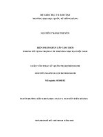 BIỆN PHÁP KHẨN cấp tạm THỜI TRONG tố TỤNG TRỌNG tài THƯƠNG mại tại VIỆT NAM 